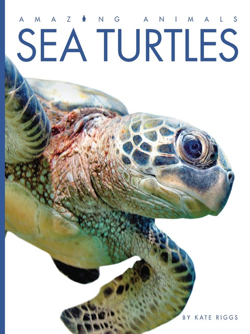 Title details for Sea Turtles by Kate Riggs - Wait list